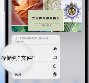 色达apple维修中心分享iPhone文件应用中存储和找到下载文件