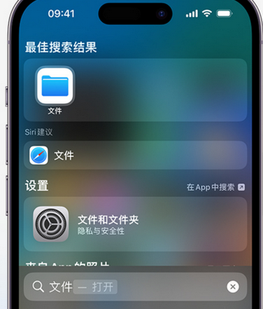 色达apple维修中心分享iPhone文件应用中存储和找到下载文件 