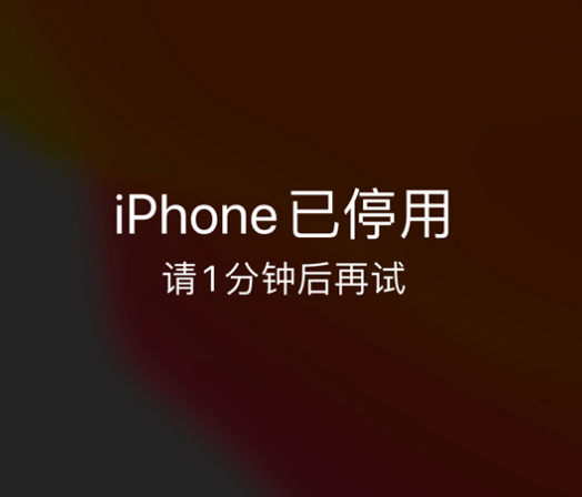 色达苹果手机维修分享:iPhone 显示“不可用”或“已停用”怎么办？还能保留数据吗？ 