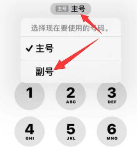 色达苹果14维修店分享iPhone 14 Pro Max使用副卡打电话的方法 