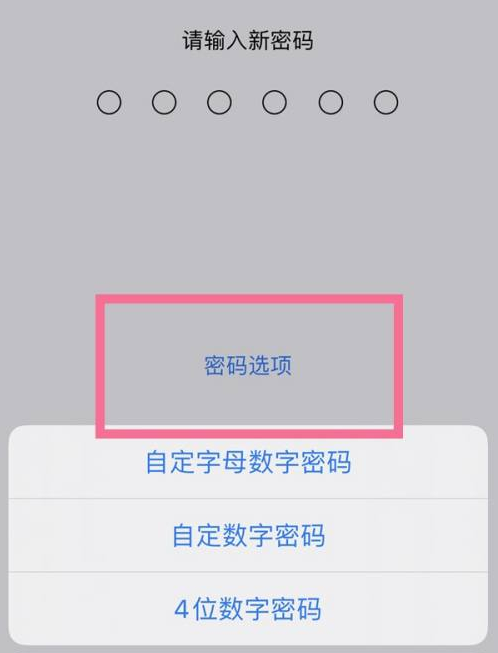 色达苹果14维修分享iPhone 14plus设置密码的方法 