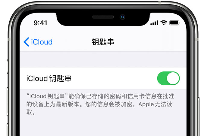 色达苹果手机维修分享在 iPhone 上开启 iCloud 钥匙串之后会储存哪些信息 